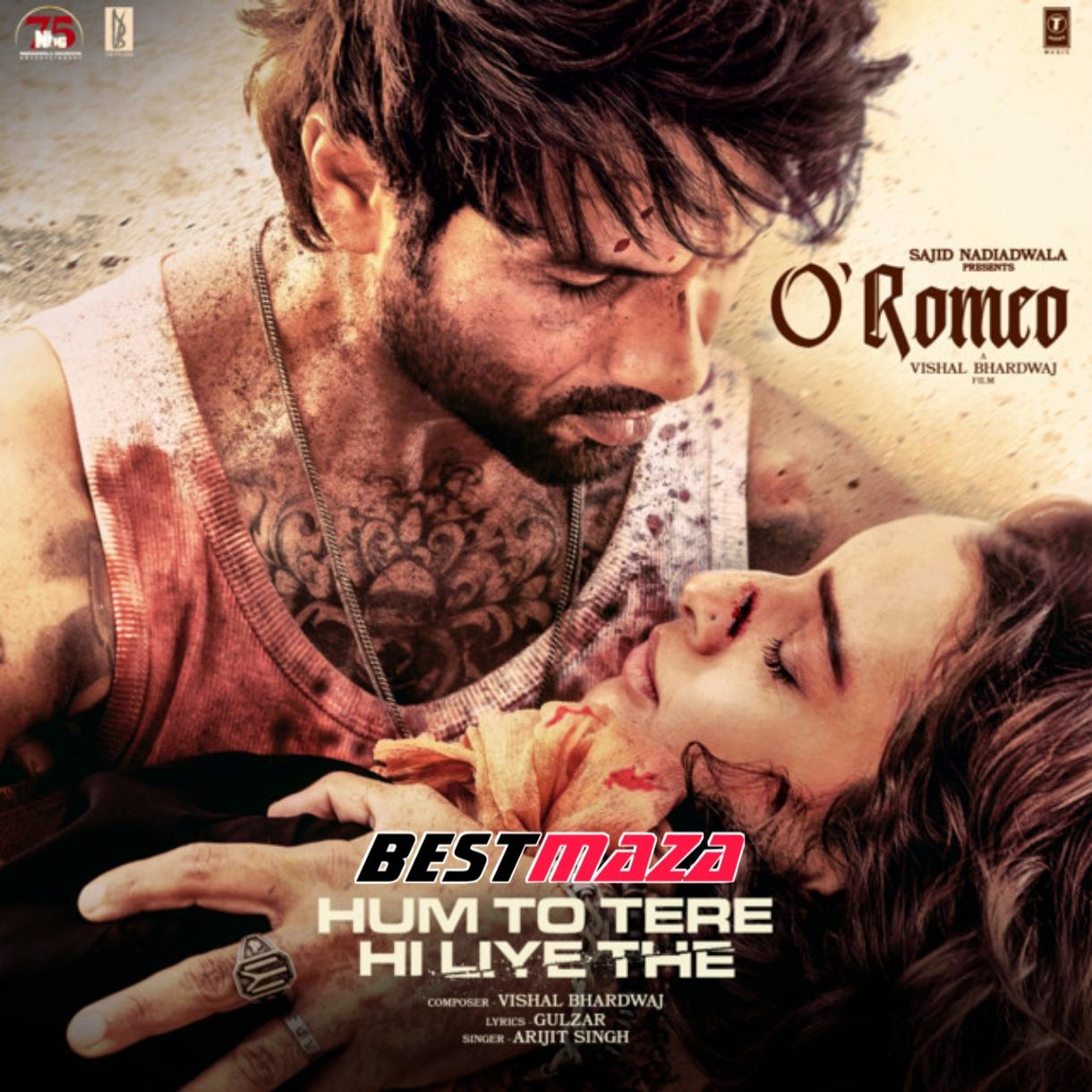 Hum To Tere Hi Liye The